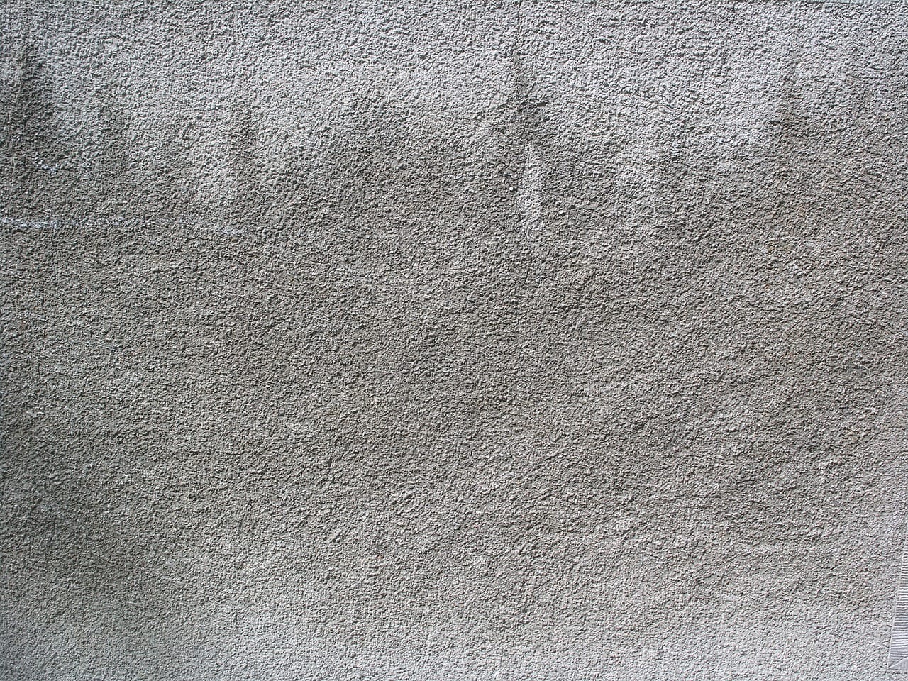 champignon mur maison