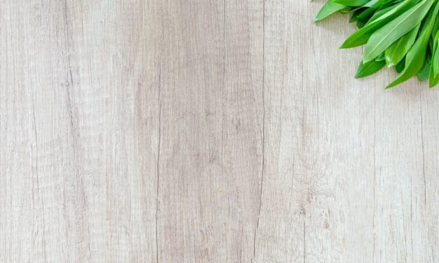 5 idées pour associer parquet et carrelage dans une même pièce