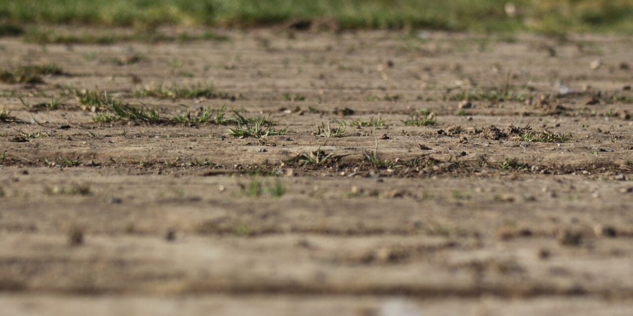 Comment aplanir un terrain bosselé ?
