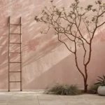 Taille du figuier&nbsp;: quand tailler et quoi couper pour mieux fructifier